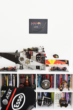 Load image into Gallery viewer, Formula One mounted carbon rear wing profile Red Bull Racing RB6 - Seb Vettel - FIA Formula One Drivers' World Champion F1-247 Wing Profile