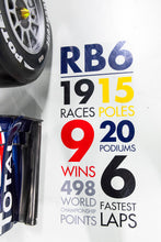 Load image into Gallery viewer, Formula One Bargeboard Red Bull Racing RB6 - Seb Vettel Mark Webber  - Red Bull Racing FIA Formula One Constructors&#39; World Champions F1-247
