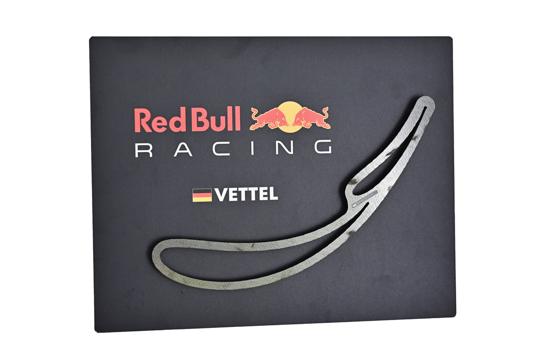 Mounted carbon rear wing profile Red Bull Racing RB6 - Seb Vettel - FIA Formula One Drivers' World Champion F1-247